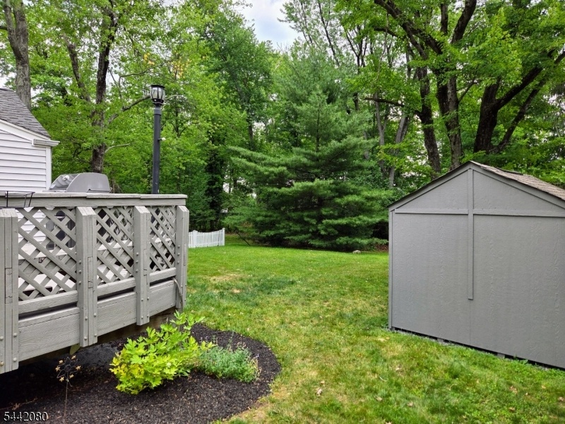 Deck, Backyard and Shed