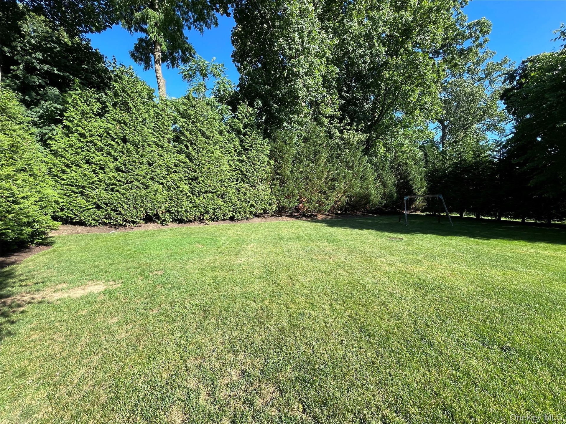 Leveled yard with privacy tree
