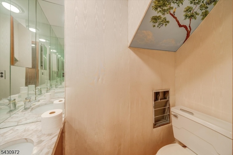 Powder Room next to Jacuzzi