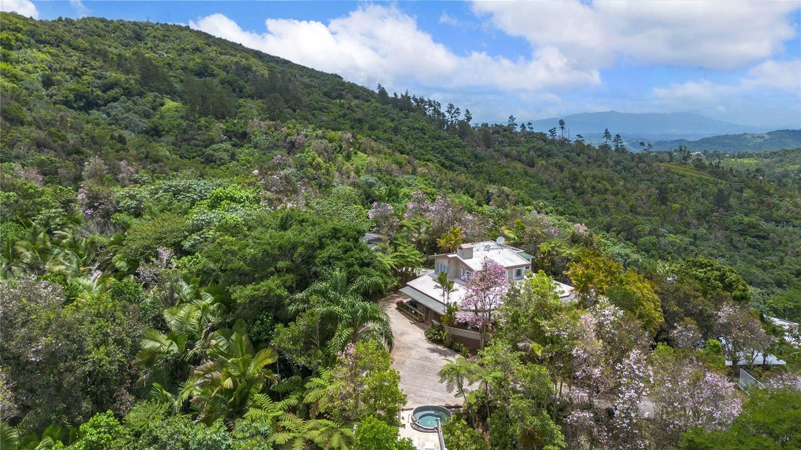 Guavate Mountain Retreat - At the Top of the World