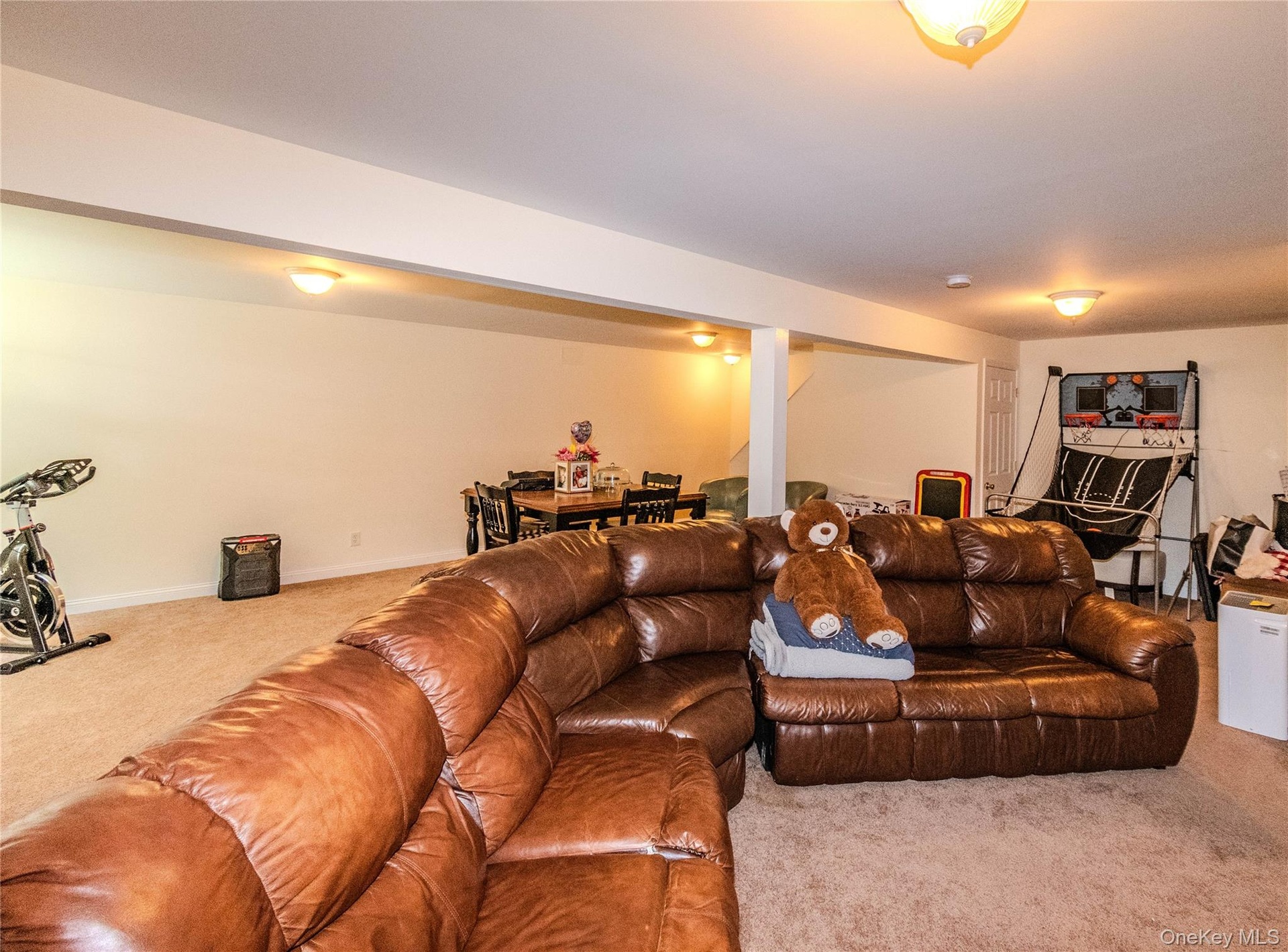 unit 2 finished basement