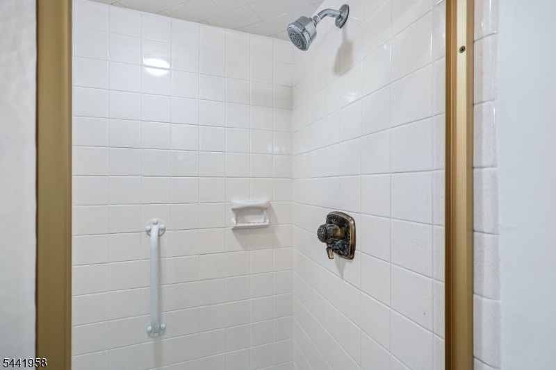 Primary Walk-In Shower