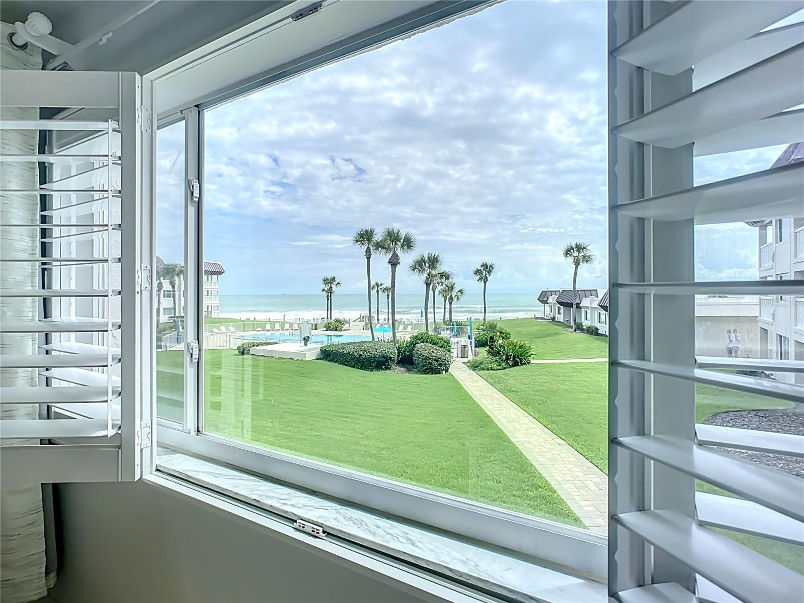 Primary View