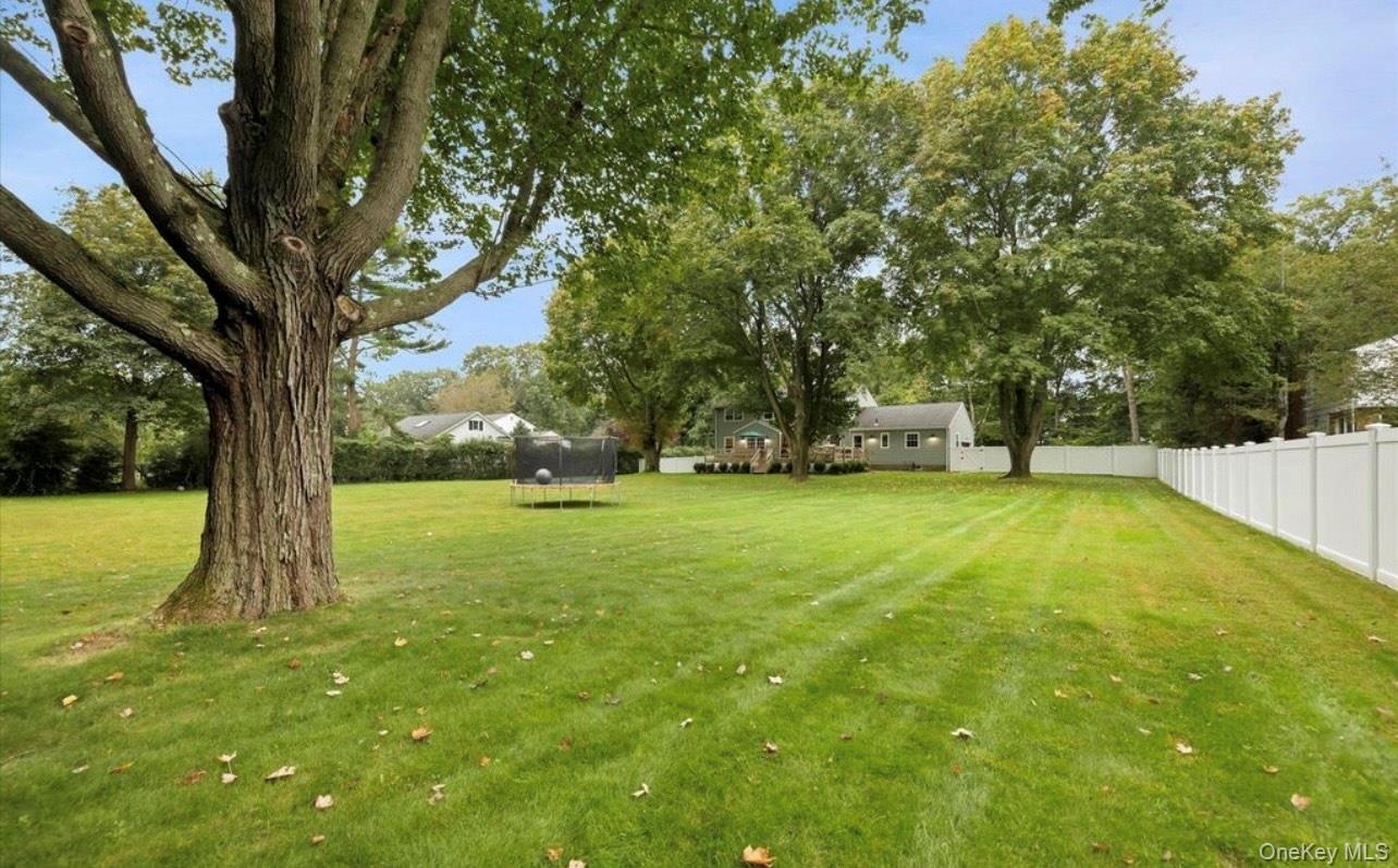 View of yard with a trampoline