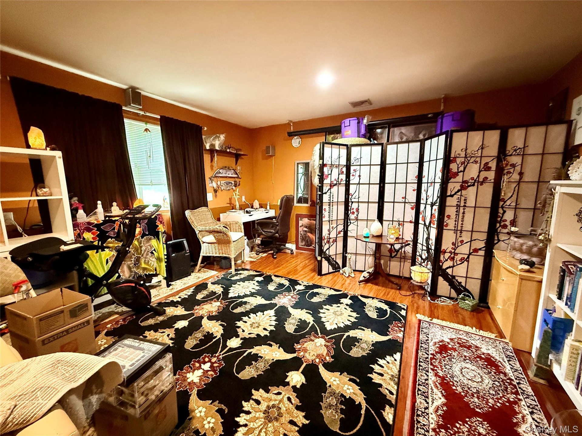 Bonus room lower level