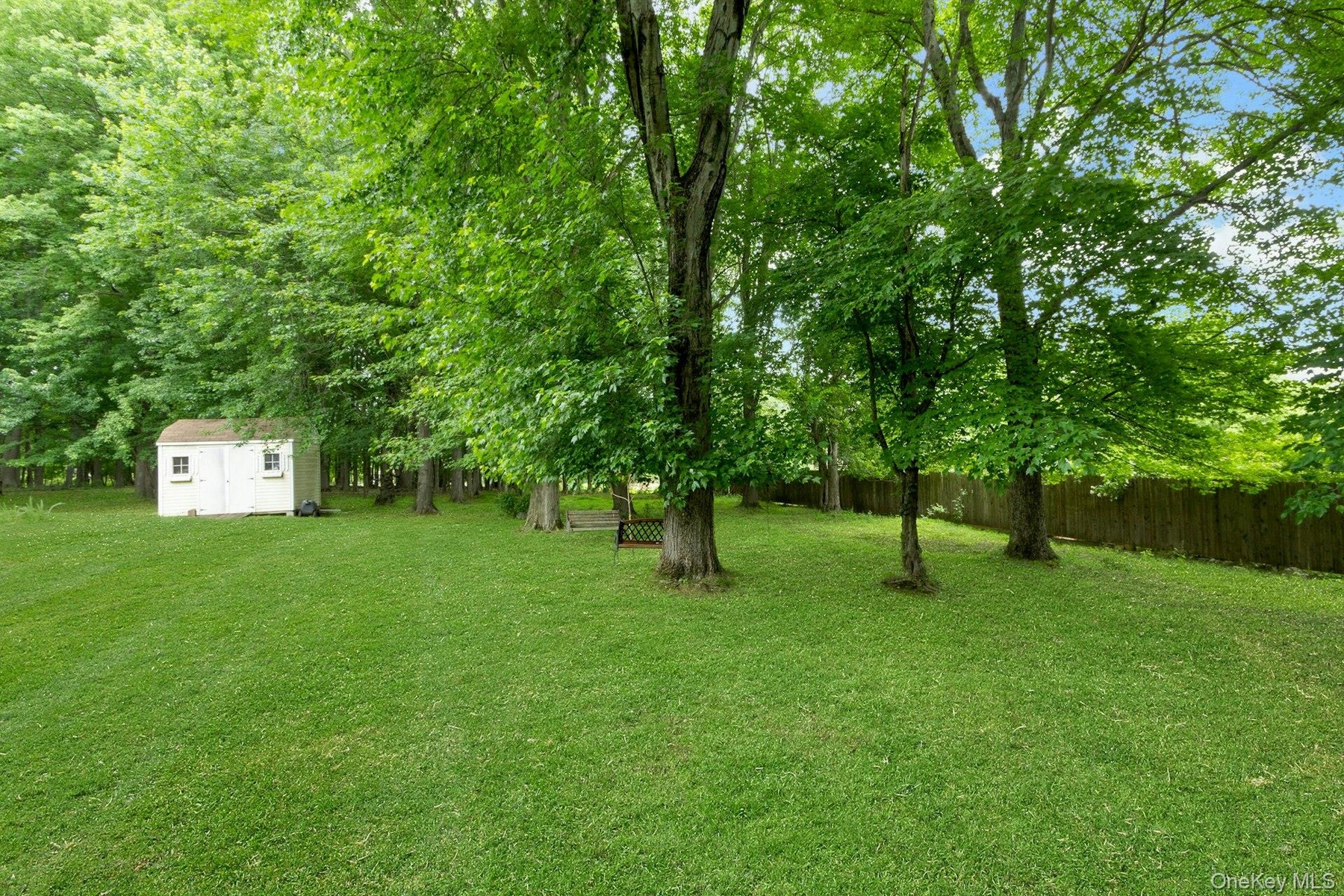 Yard with shed