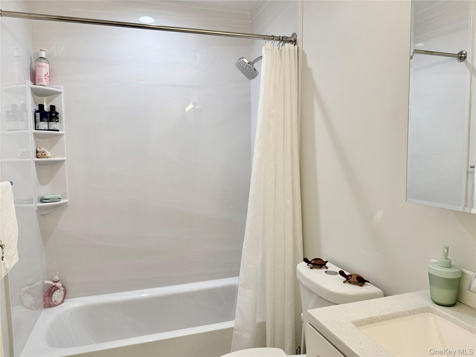 1st floor full bathroom newly renovated