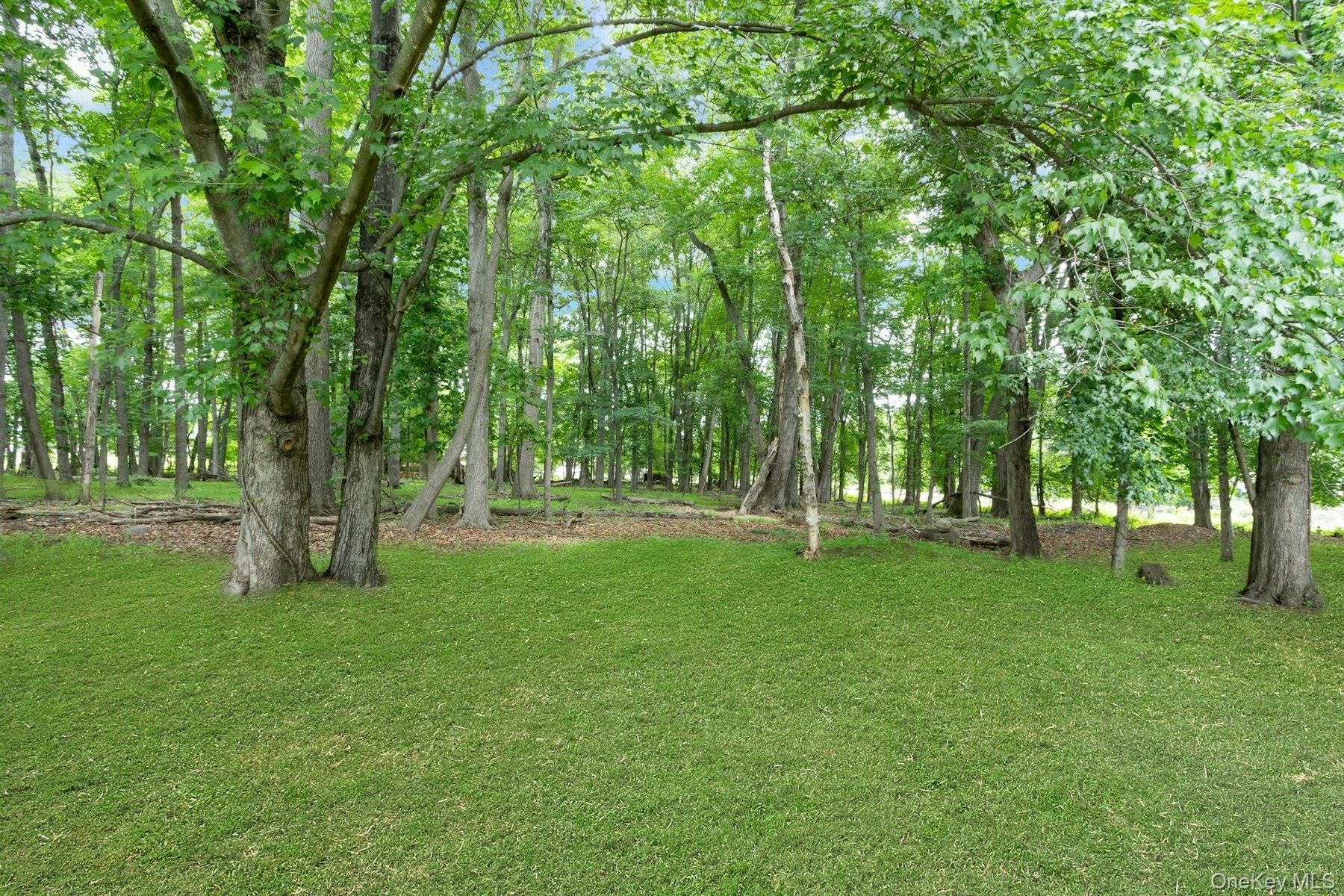 Level yard with the privacy, mature trees