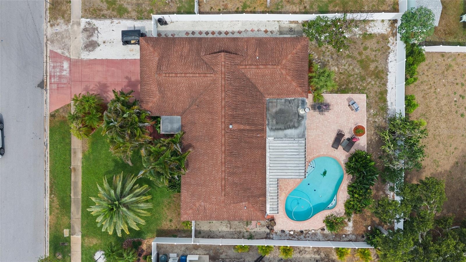 Pool Home in Dunedin