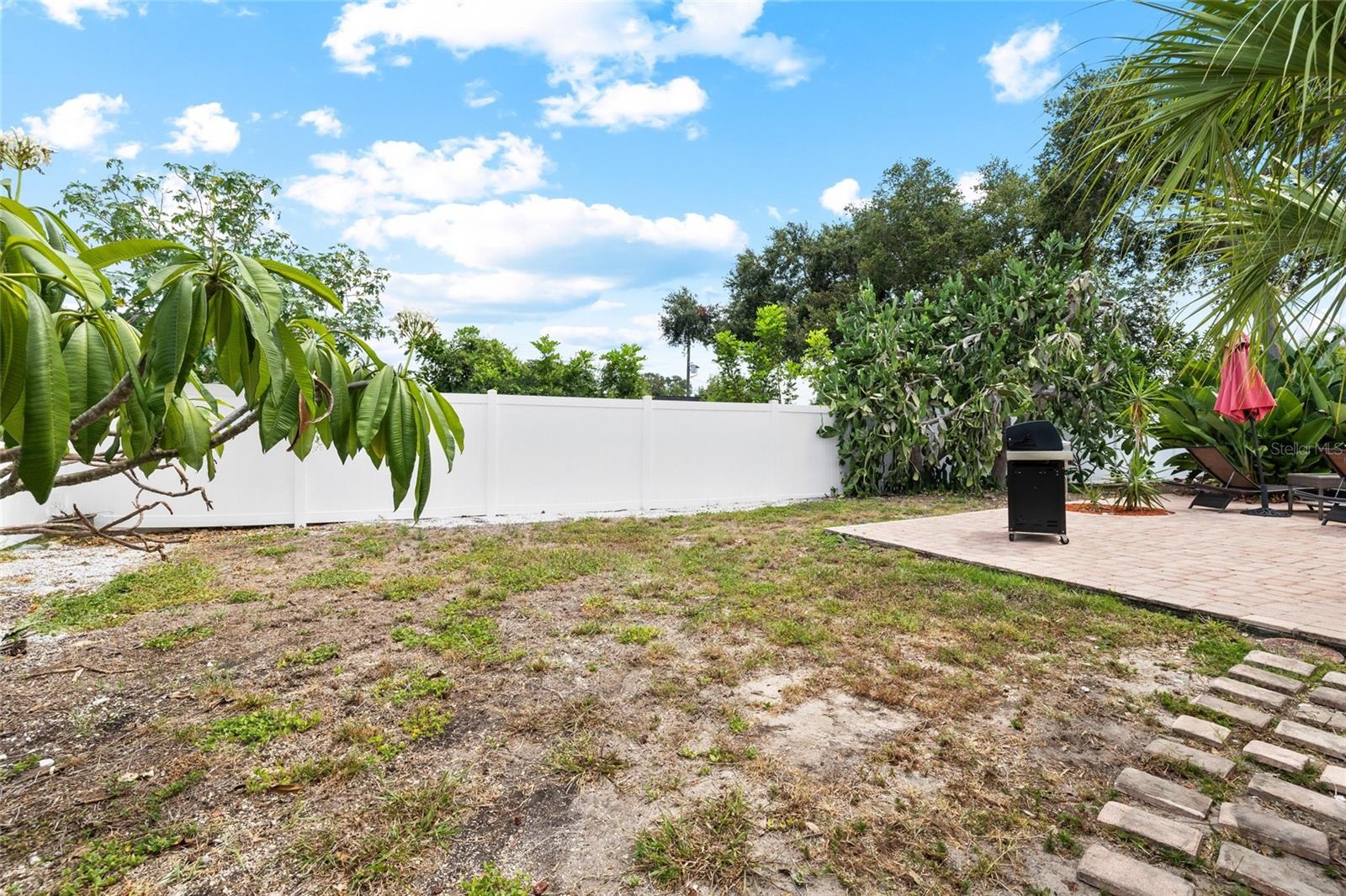 Spacious Back Yard