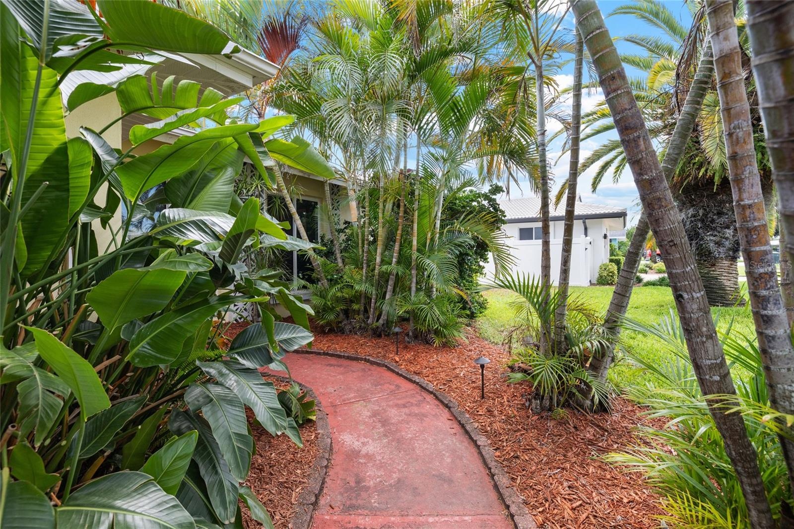 Tropical Entrance