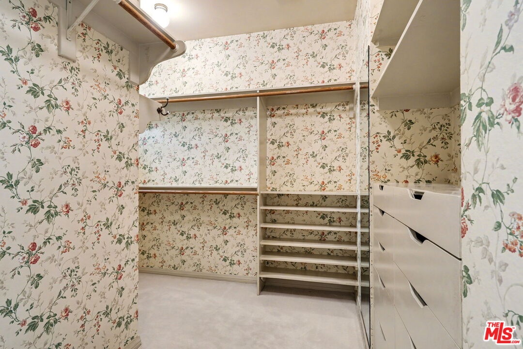 abundant walk in closet Plus,
