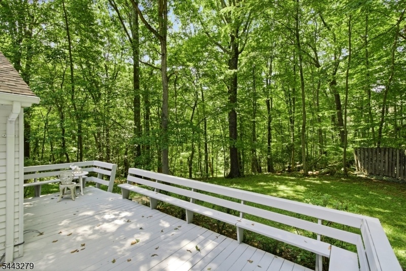 Back Deck
