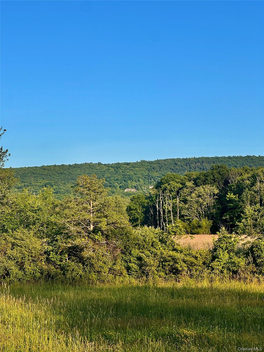 Soak in breathtaking sunsets each evening from this private mountain-top estate!