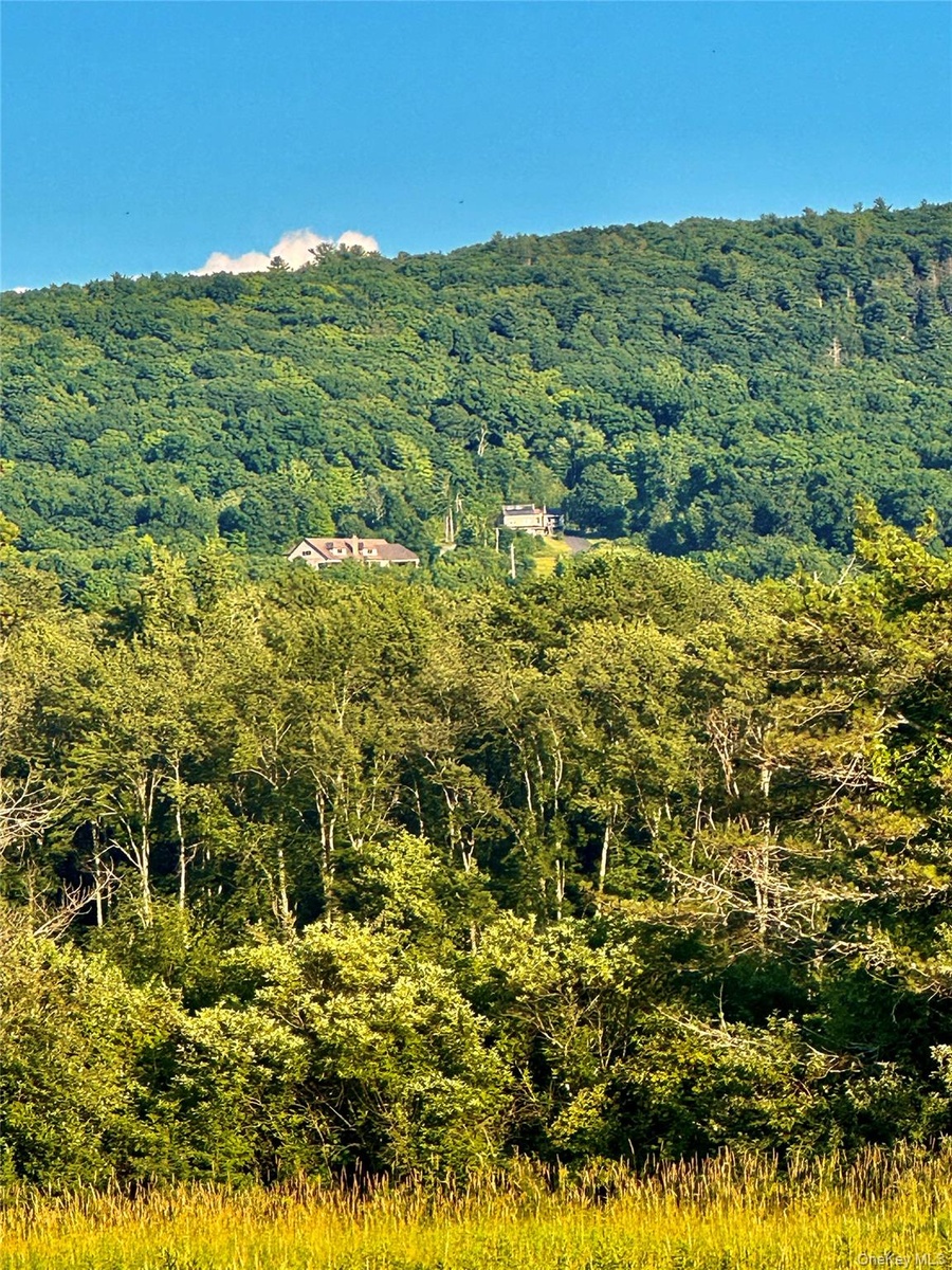 Unparalleled PRIVACY surrounded by thousands of acres of undeveloped land!  The estate property looking up from the Wickham Lake below!  The Appalachi