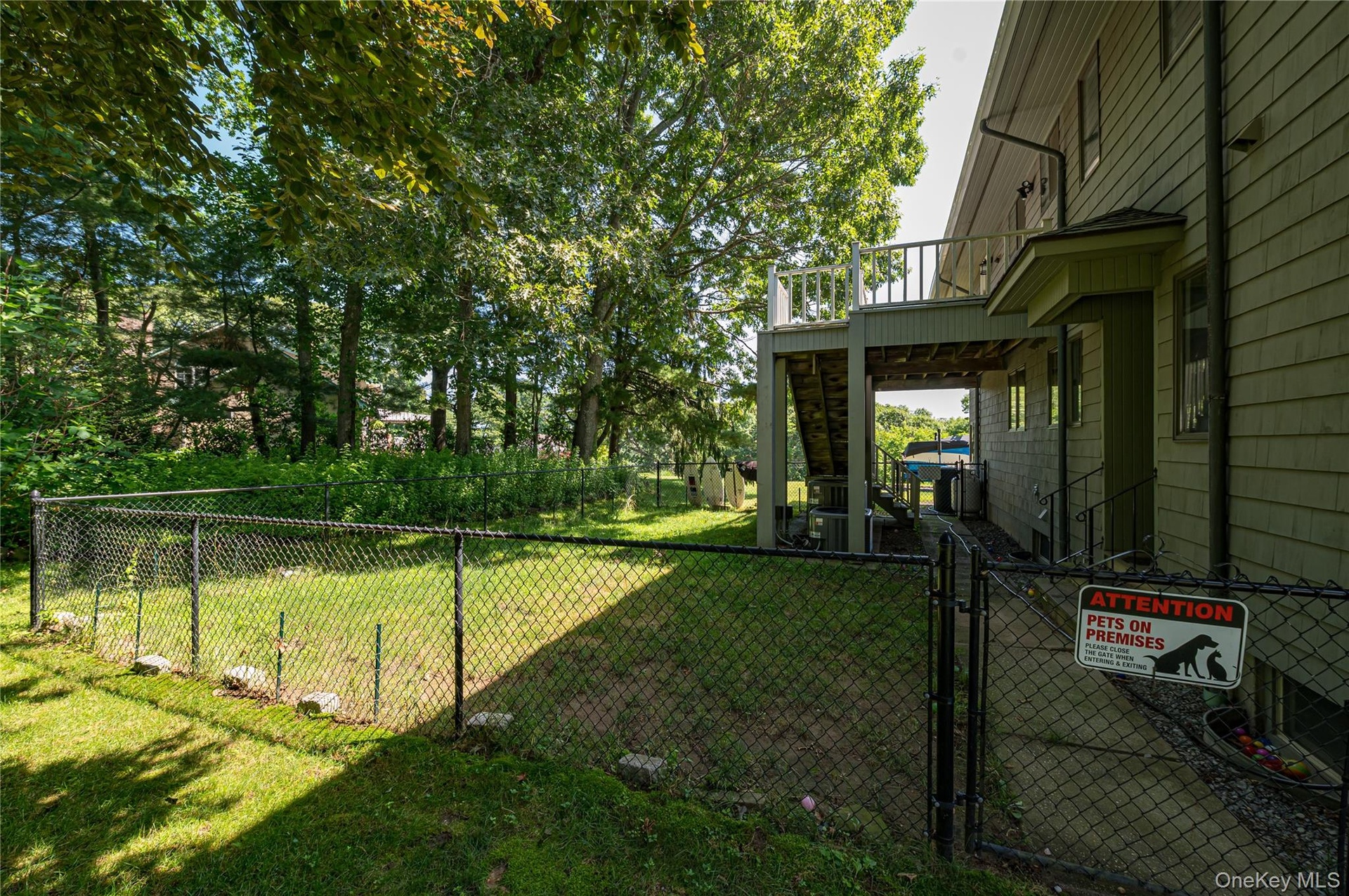 Fenced in dogs area