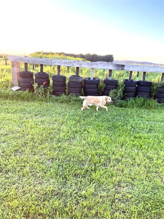 View of grassy yard