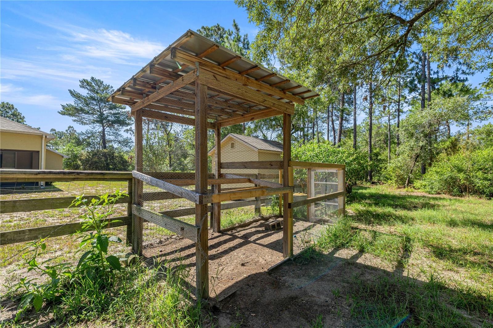 Chicken Coop