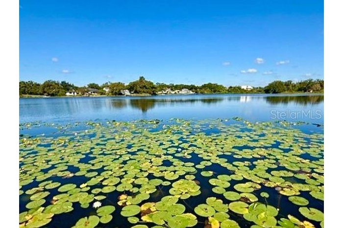 View from the Dock