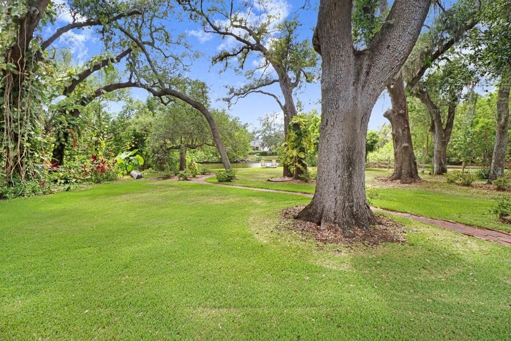 Lots of shaded backyard space, great for outdoor entertaining.