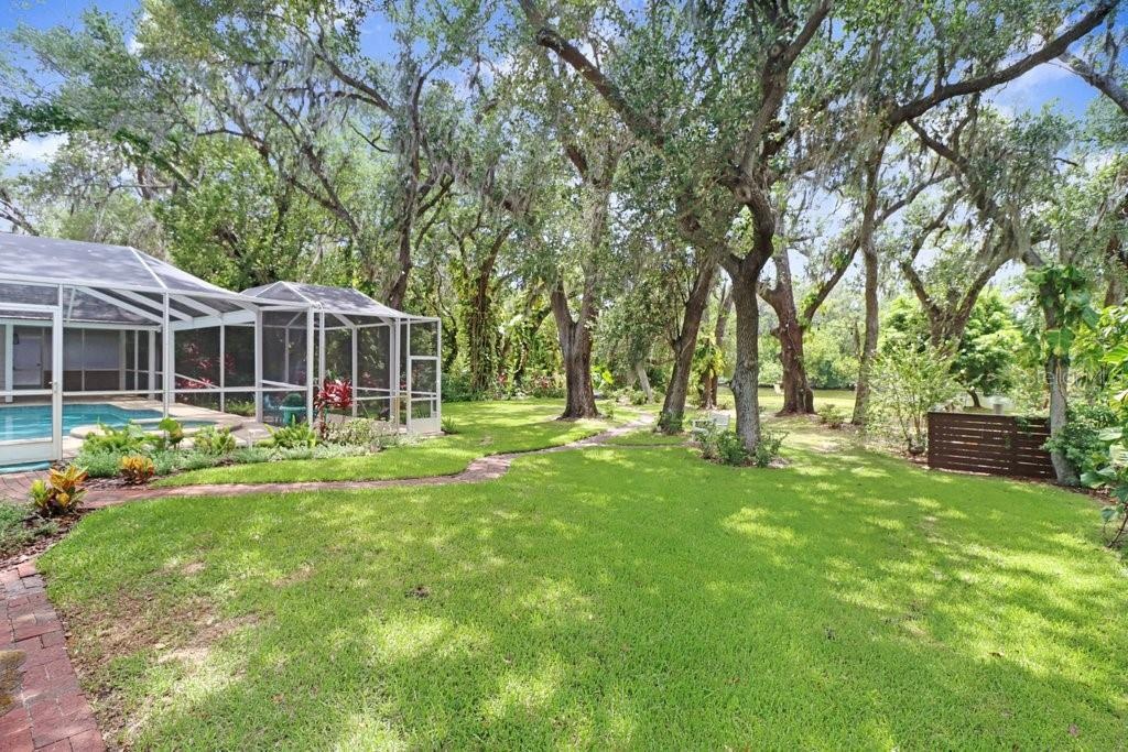 Expansive backyard with mature oak trees which includes fruit trees - mango, Florida apple and banana trees.