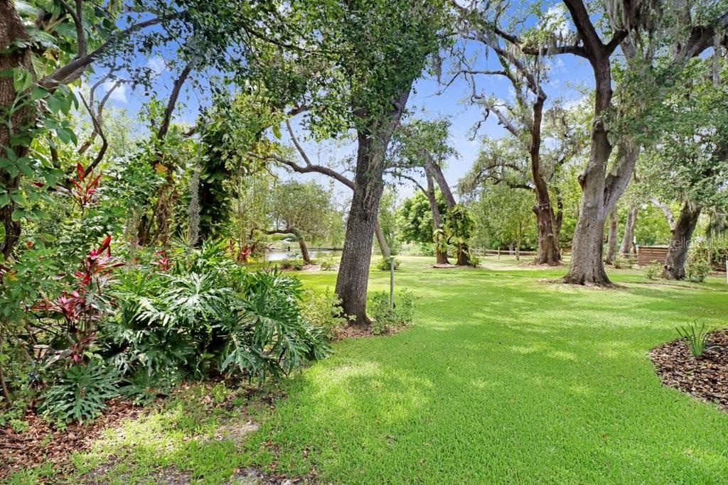 Another backyard view.