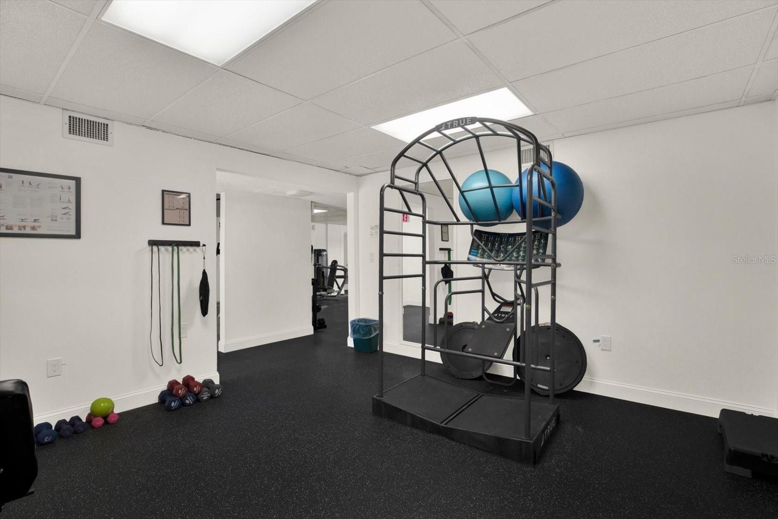 Gym