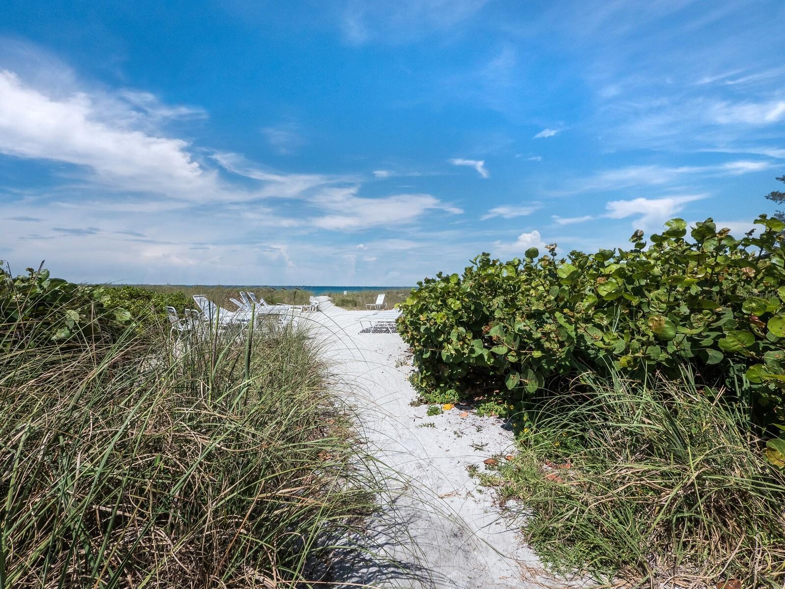 walkway to the beach