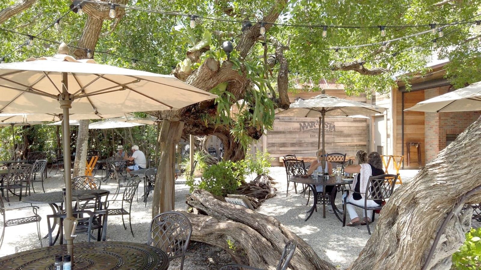 outdoor, bayside dining at Mar Vista