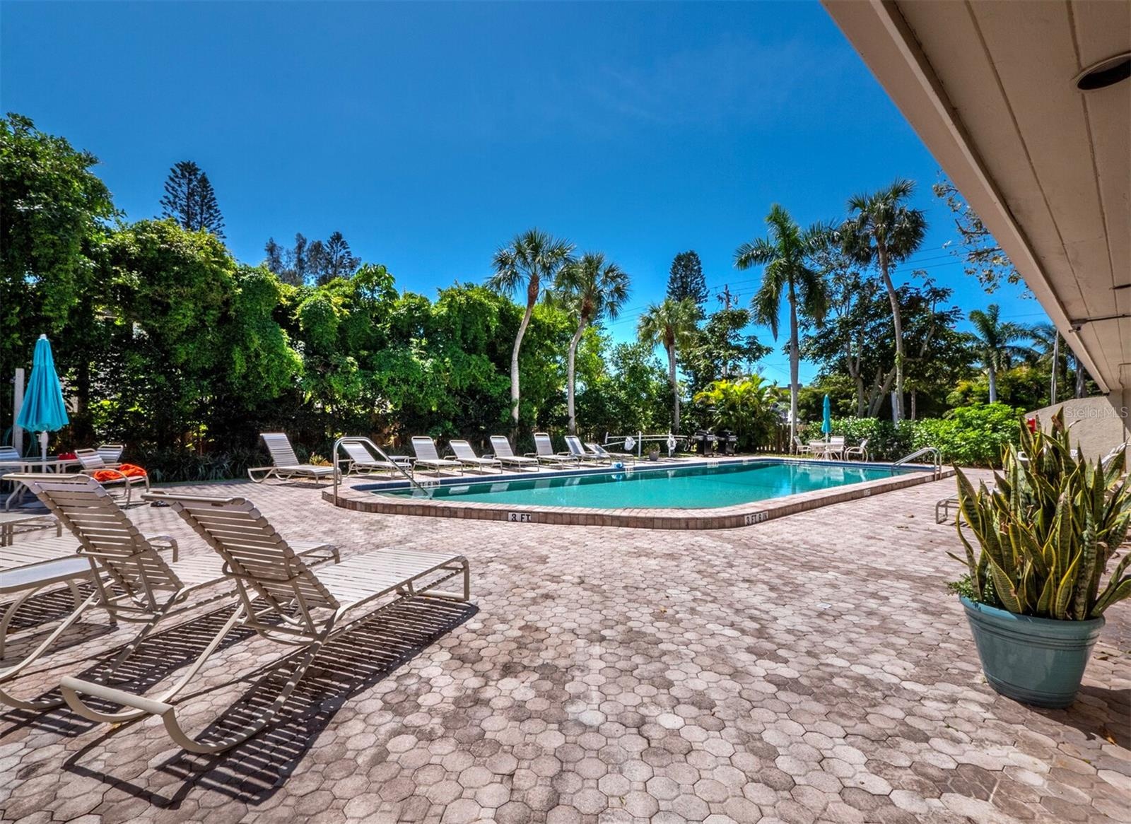 pool and pool deck