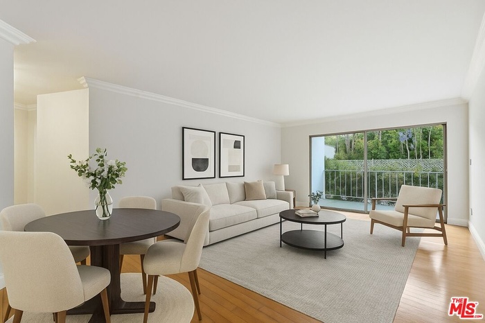 Living Room/Dining Room - Virt