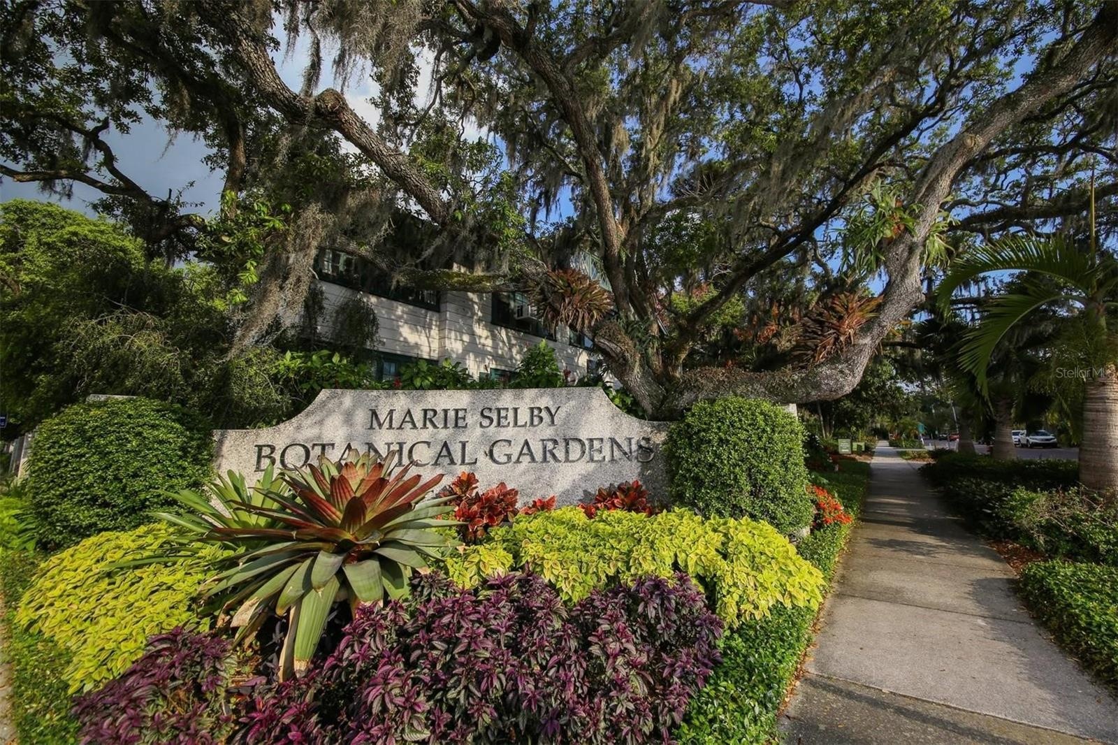 TOP BOTANICAL GARDENS ratings by Time, Wall Street Journal, and Vogue! The Marie Selby Botanical Gardens hosts extravagant events throughout the year!