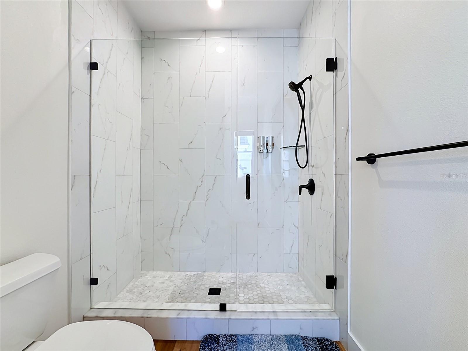 Step in shower