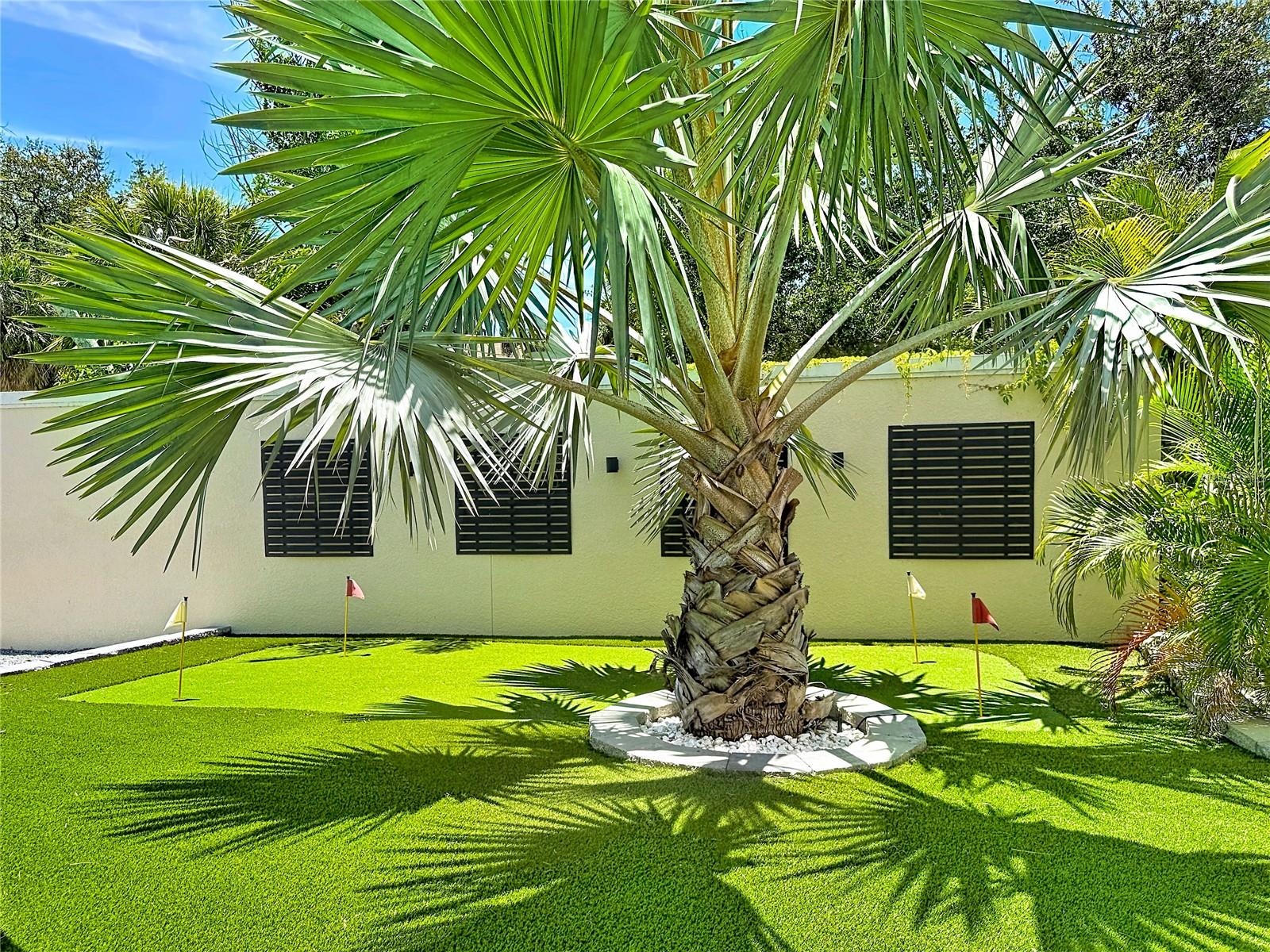 Fancy a little pitch and putt fun