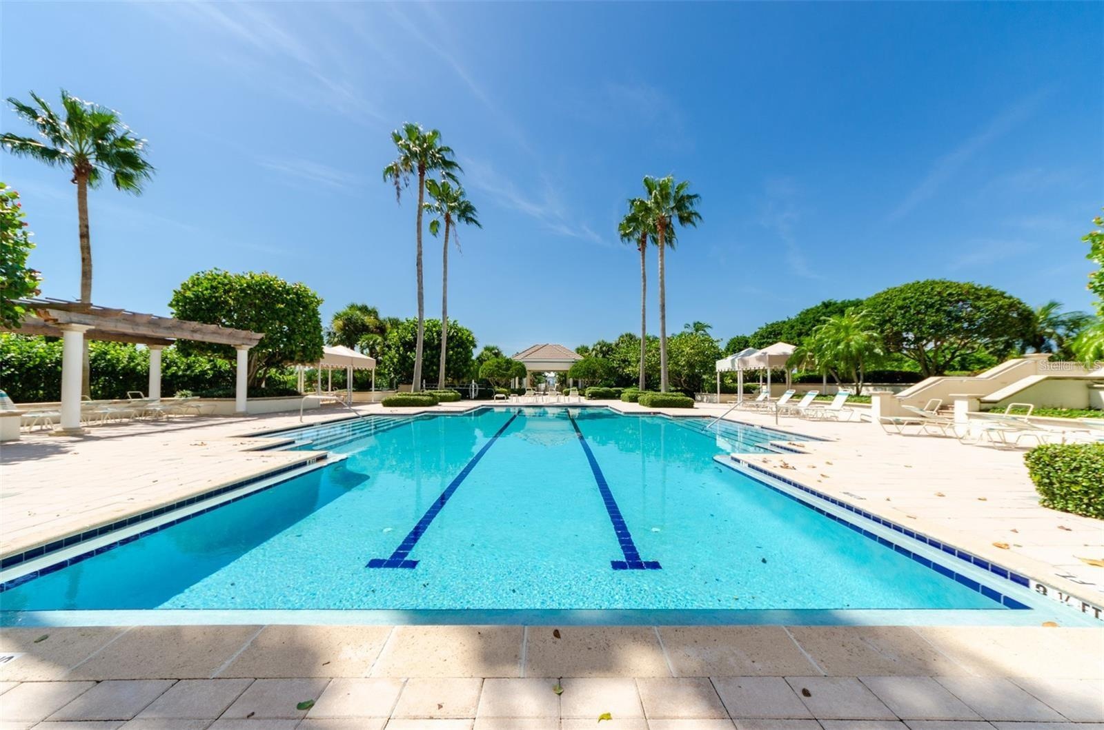 Lap pool