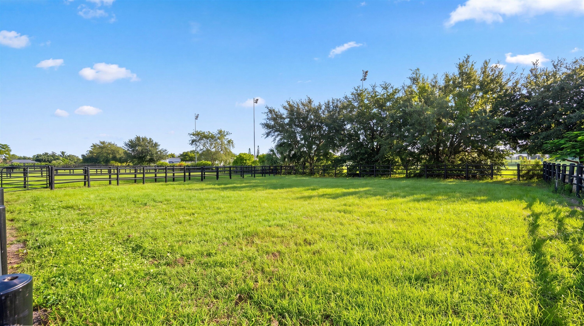 paddocks
