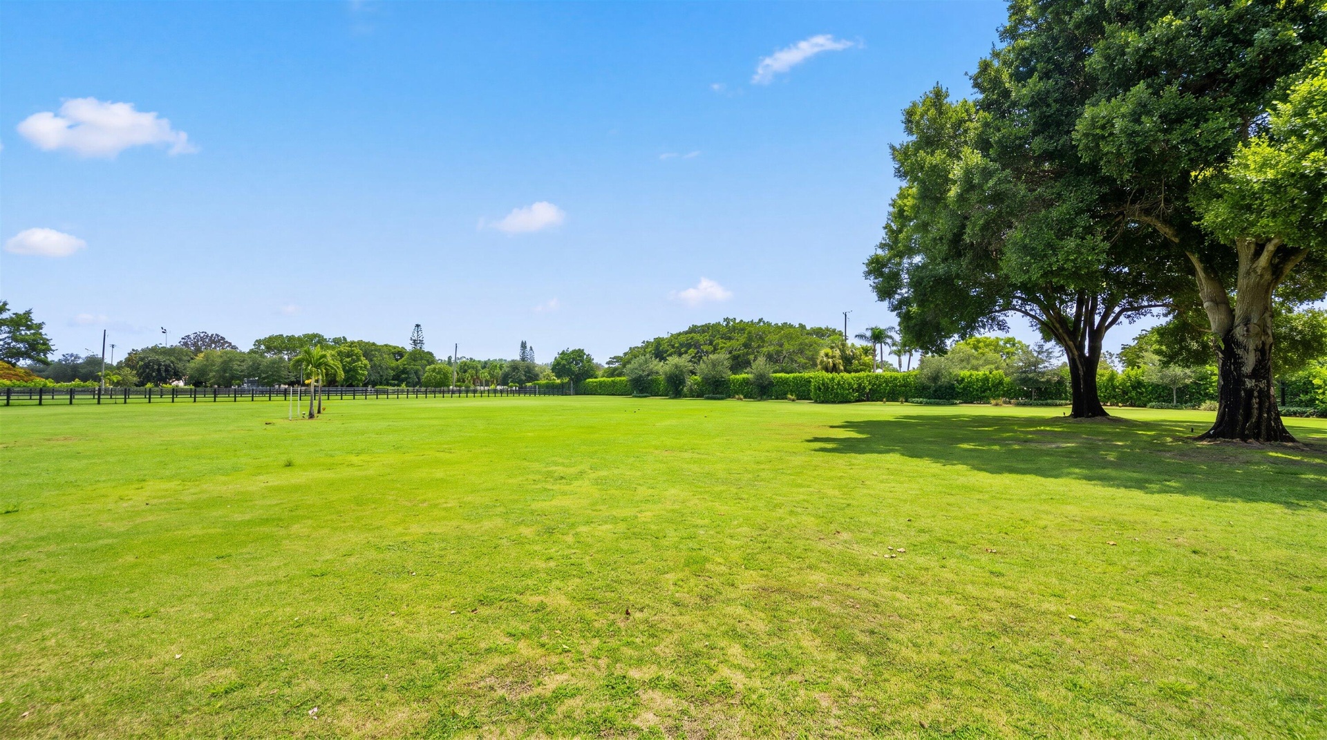 Grass field