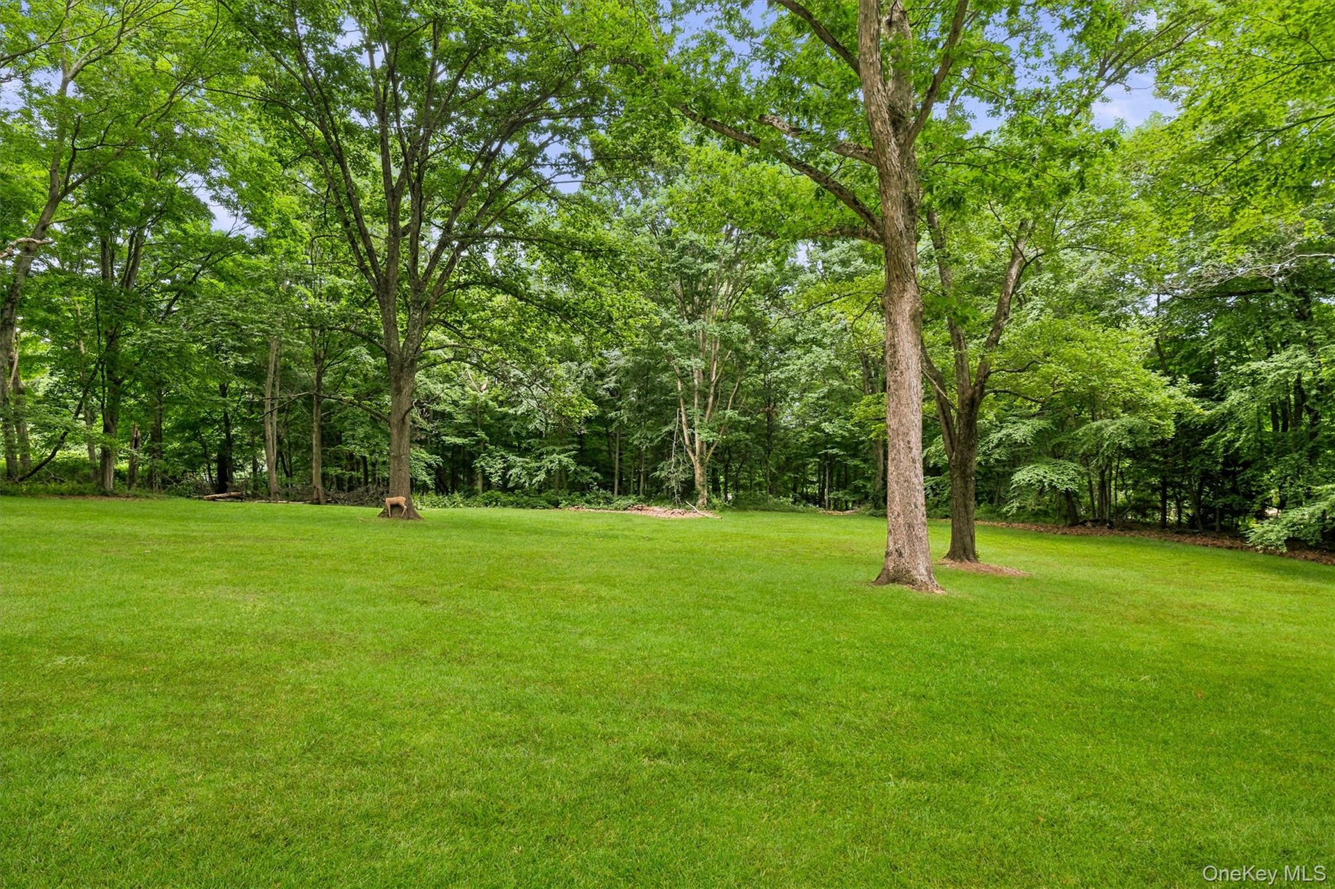 Expansive green lawn with mature trees