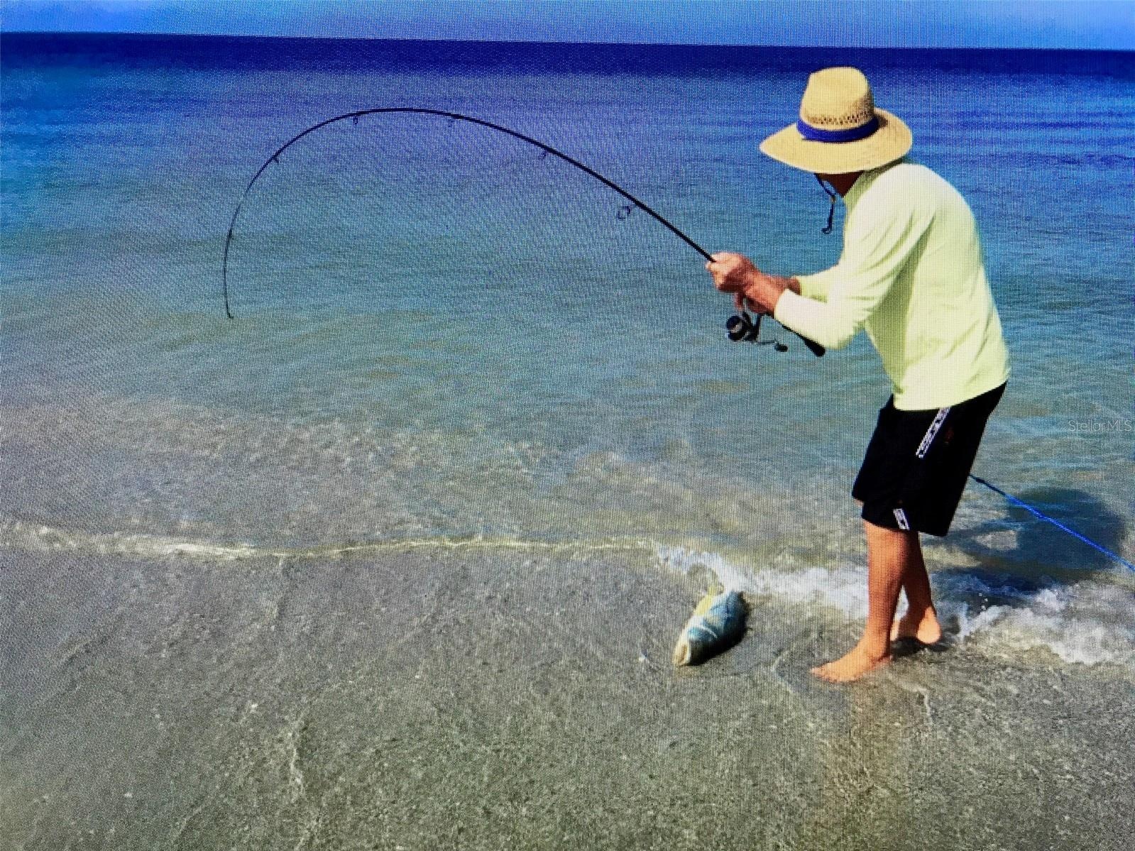 IndianRocks Beach shoreline fishing is primo!