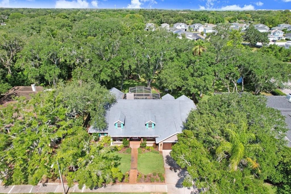 Drone view of property