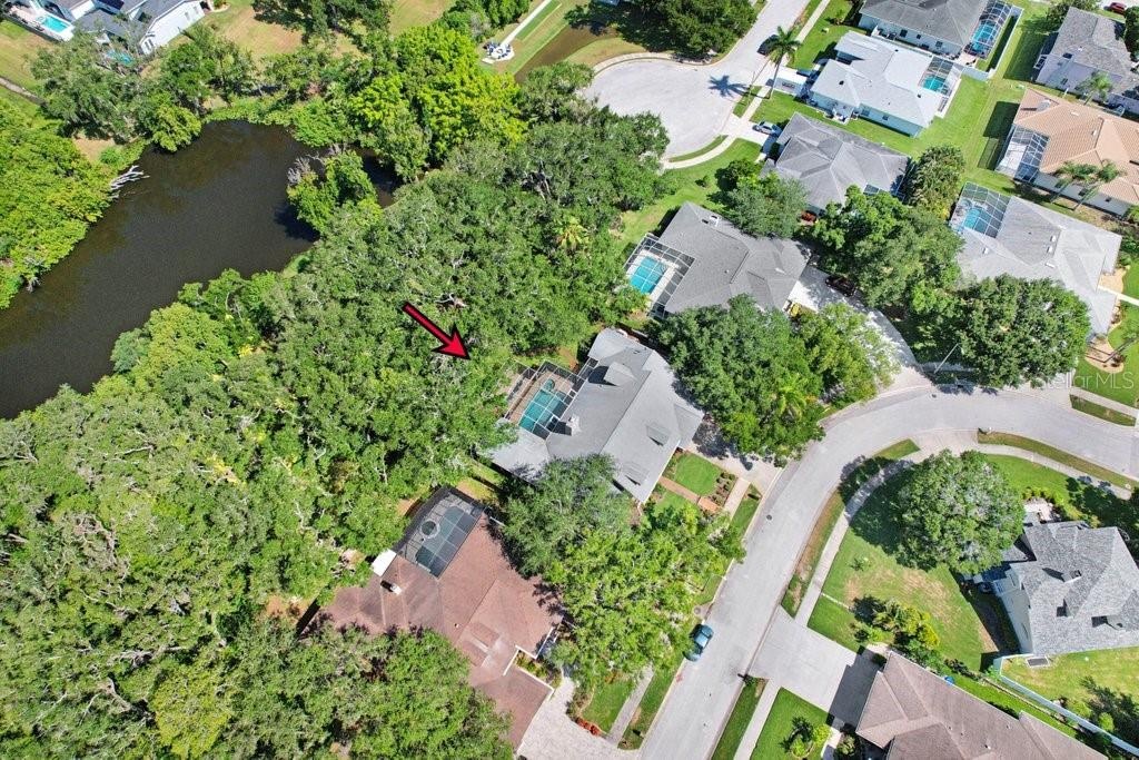 Drone view