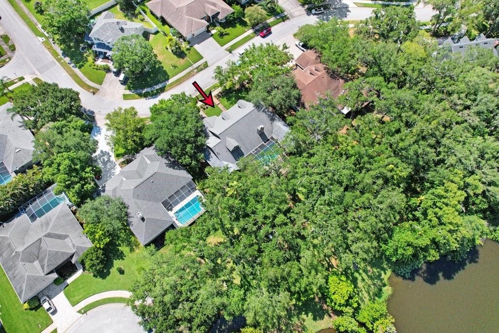 Drone view