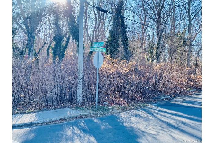 Exterior view of a heavily wooded area