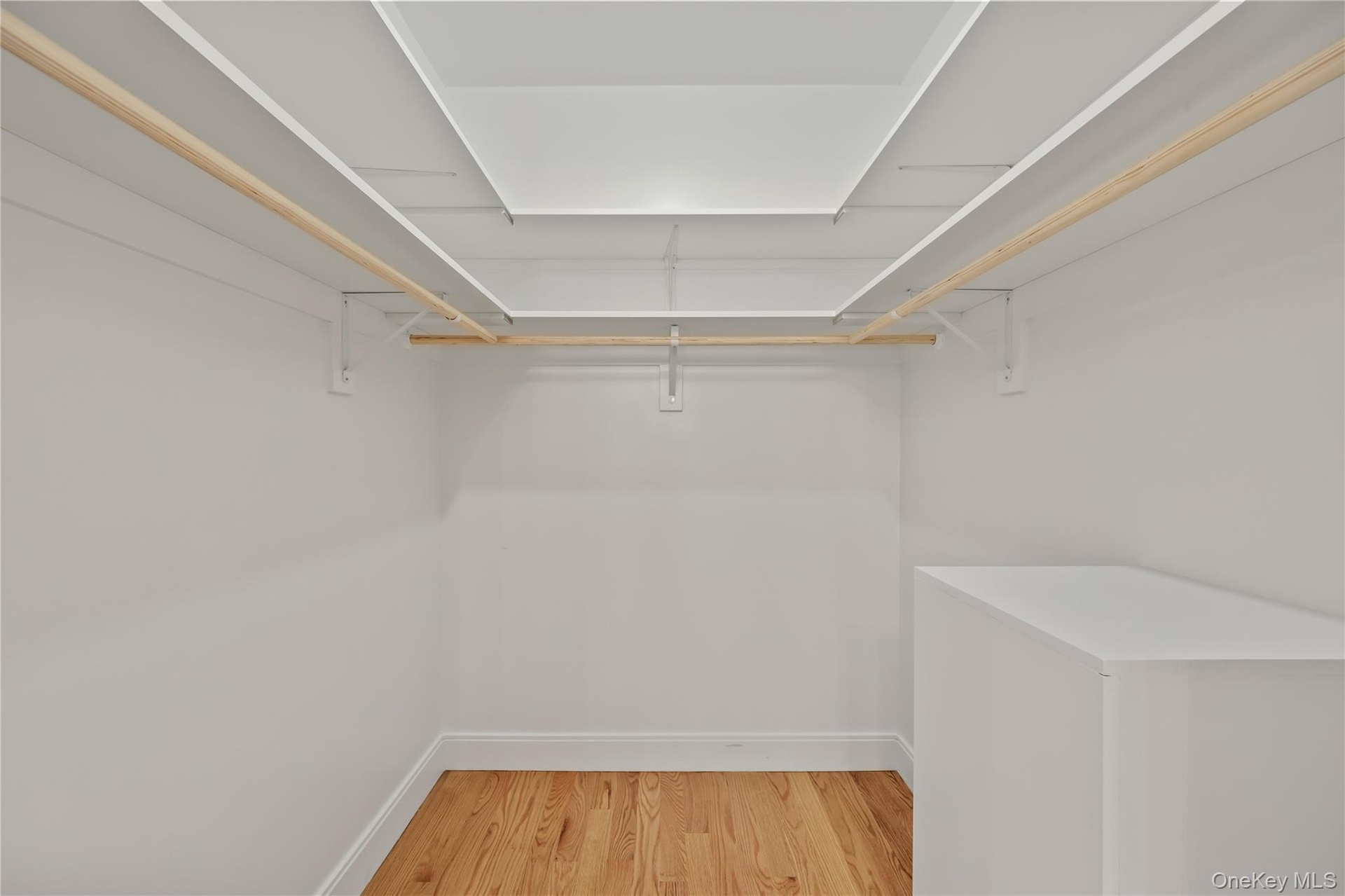 Spacious closet featuring light wood-style floors