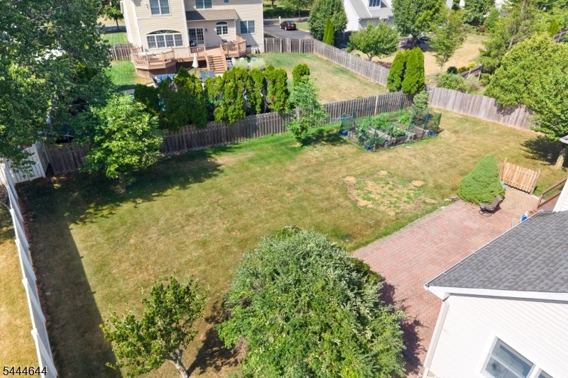BACKYARD VIEW