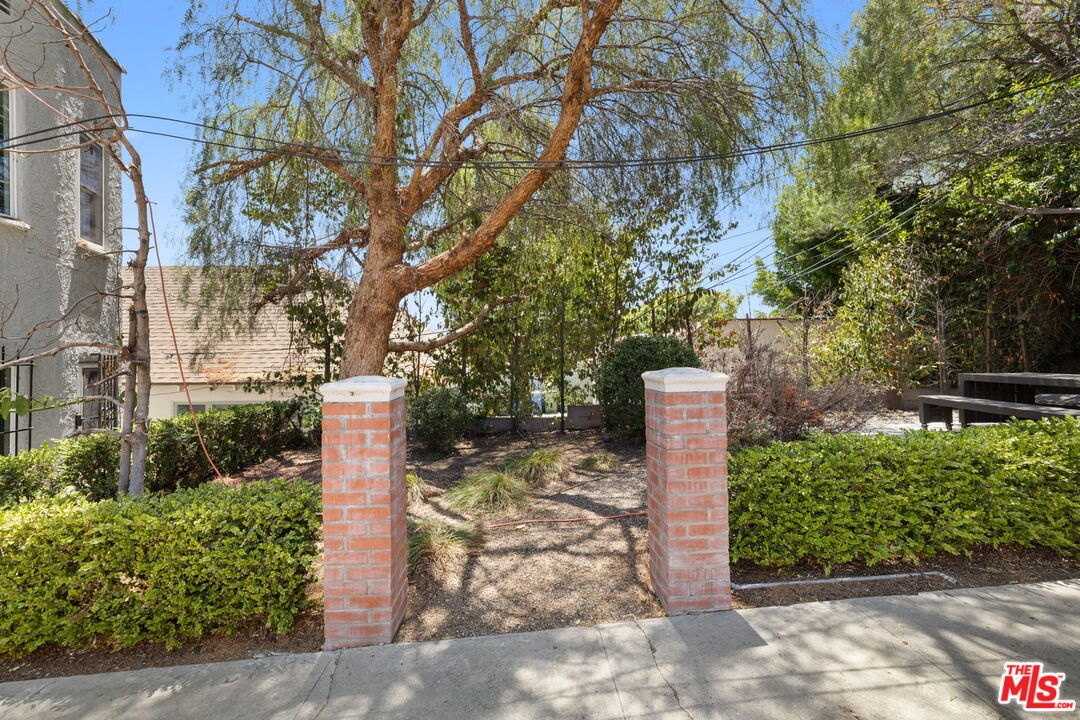 Exterior Backyard