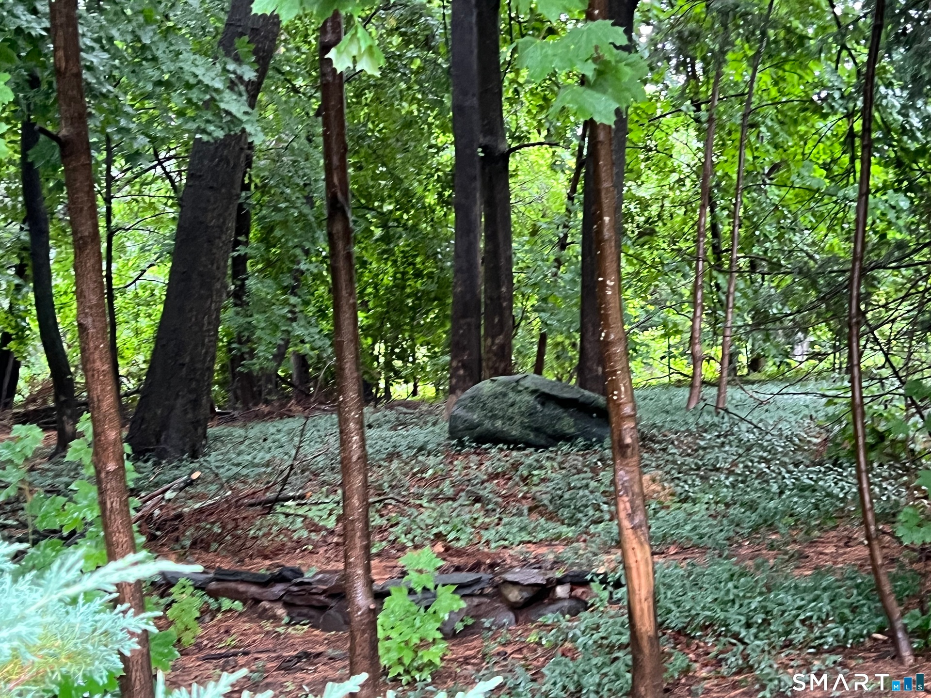 Side Yard