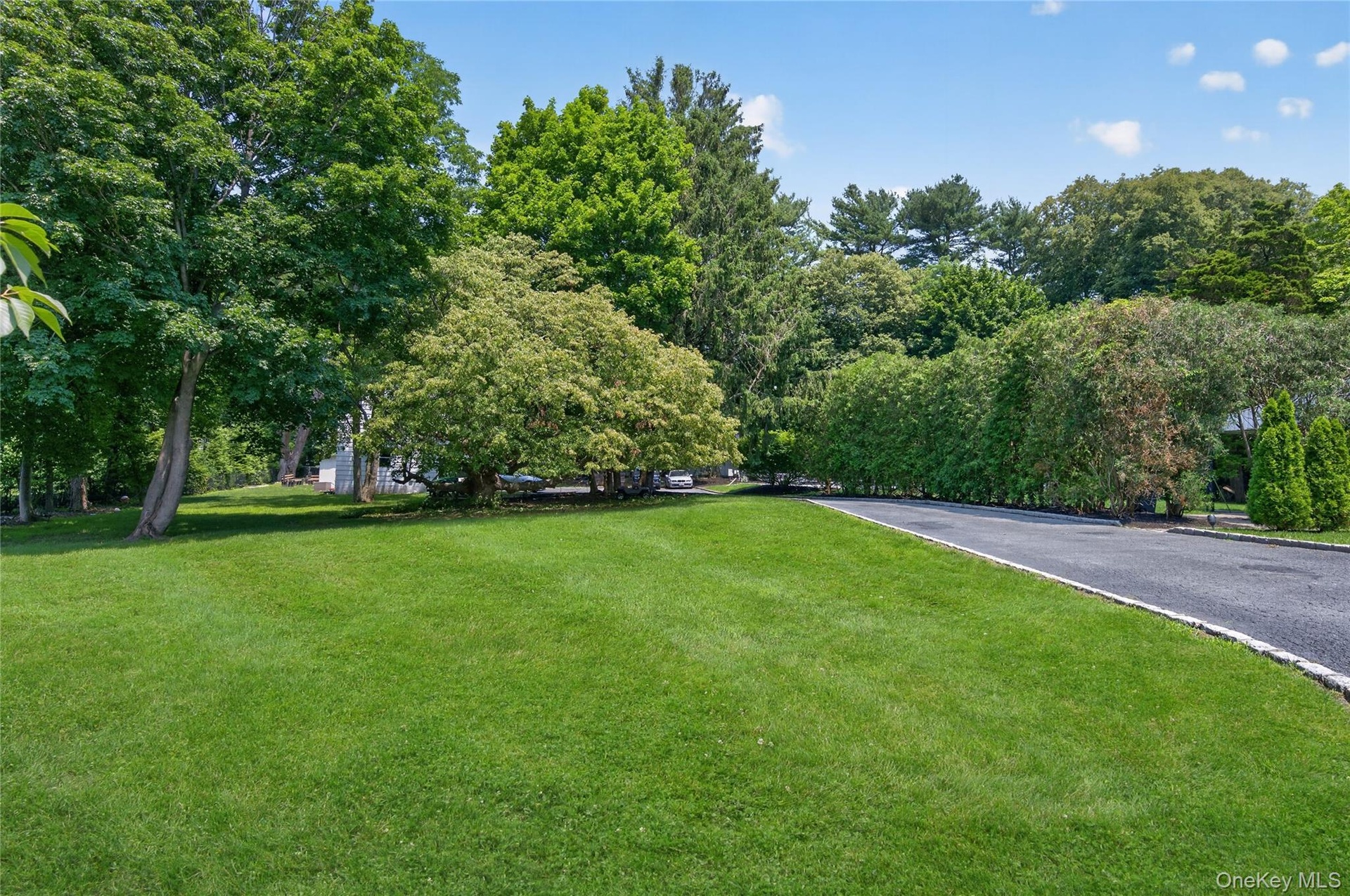 Lawn