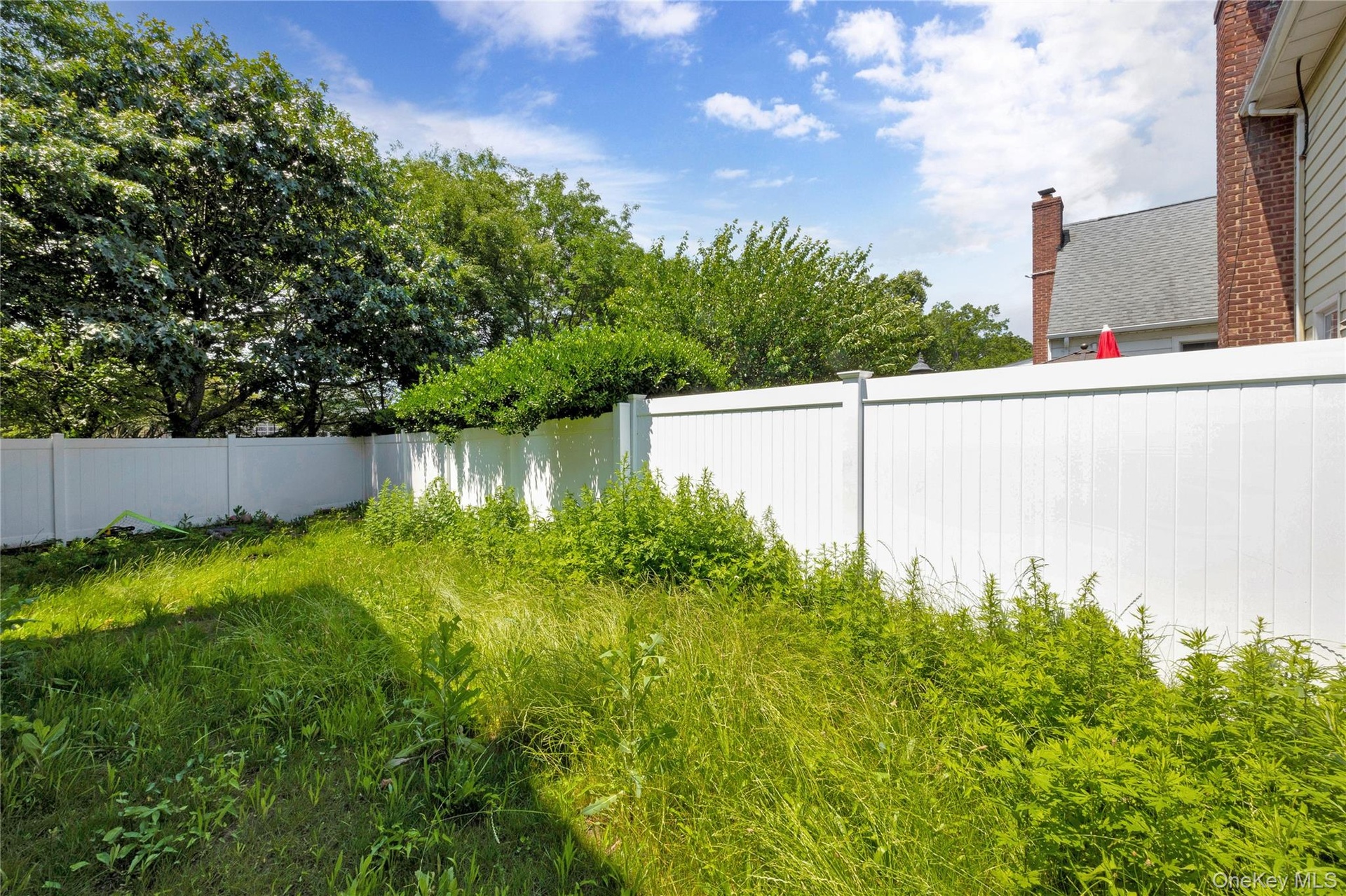 View of fenced backyard