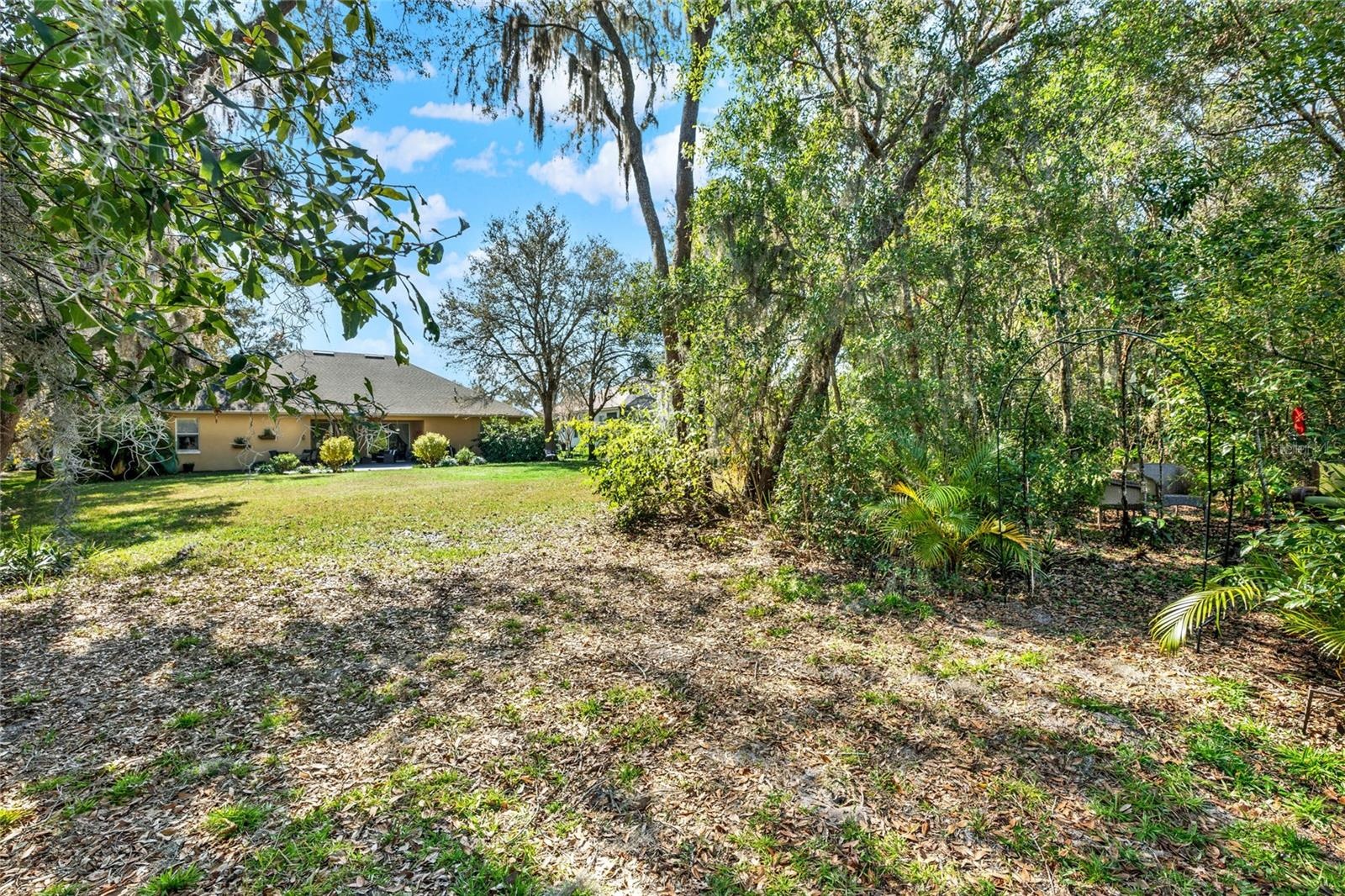 Backyard